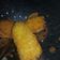 Cooksnap dari Marni untuk resep Nugget Pisang