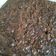 Cooksnap dari Novi Herawati untuk resep Fudge Brownies