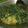 Cooksnap dari lina untuk resep 5.Gule daun singkong