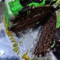 Cooksnap dari umi fat untuk resep Black Forest, lembut & yummy