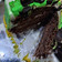 Cooksnap dari umi fat untuk resep Black Forest, lembut & yummy