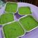 Cooksnap dari fauzan andara untuk resep Srikaya pandan kukus