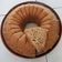 Cooksnap dari Qurrota A'yun untuk resep Banana Steam Cake a.k.a Bolpis Kukus
