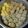 Cooksnap dari afrianidewi untuk resep Siomay Abang-Abang
