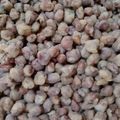 Cooksnap dari Nengah Hardiani untuk resep Kacang telur renyah