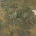 Cooksnap dari Yuhyil Husna untuk resep Gule daun singkong