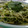 El cooksnap de Bita cuando hizo Tallarines con pesto de espinacas y almendras.