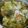 Bill Roberts Jr's cooksnap of when they made Cornbeef and Cabbage (NY Style).