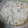 El cooksnap de Esther cuando hizo Macarrones carbonara.
