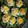 El cooksnap de Jazmín Cagiao cuando hizo Huevos rellenos de atún.