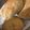 leopold27's cooksnap of when they made No Knead Yeast Rolls.