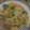 Cooksnap dari Anjas Kumara Najid untuk resep Spaghetti Saus Brokoli
