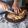 El cooksnap de Diego Daniel Ruiz Castro cuando hizo Matambre de Cerdo relleno.