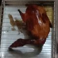 Cooksnap dari MELLYAWATI untuk resep Bebek Peking
