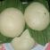 Cooksnap dari antikadewi untuk resep Pao Bahan Simple (tanpa mentega putih, tanpa tepung pao)