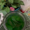 Cooksnap dari tika untuk resep Kolang kaling hijau nan legit..