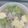 รูป Cooksnap ของ Eve Nevenave เมื่อเขาทำ แกงจืดผักกาดขาวหมูก้อนวุ้นเส้นเต้าหู้ไข่