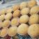 La cooksnap de Yaqueline Lusardo cuando cocinó Muffins de vainilla