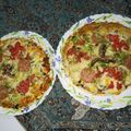 کوک اسنپ Sara 858 بعد از امتحان کردن پیتزا مرغ و قارچ با نون آماده.