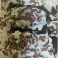 Reeta Sahu का कुकस्नैप जब उन्होंने चॉकलेट पेस्ट्री (Chocolate pastry recipe in Hindi) बनाया था।