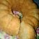 Cooksnap dari Neiino Pratama untuk resep Bolu pisang kukus lembyuut