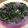 詩貴妃 的 清炒紅莧菜 cooksnap