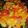 Shazi Mudabbir's cooksnap of when they made Mango salsa.
