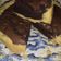 Cooksnap dari yuliw untuk resep Pie Brownies