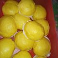 Cooksnap dari Leni untuk resep Bakpao Labu Kuning