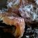Cooksnap dari Bunda kika untuk resep Oreo Goreng