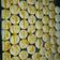El cooksnap de María Luján cuando hizo Galletas fáciles y rápidas.