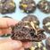 รูป Cooksnap ของ mpong เมื่อเขาทำ Chocolate chip soft cookie คุกกี้กรอบนอกนุ่มใน