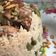 صورة من Fatima, kitchen&cook ، شاركها بعد تجربة وصفة مقلوبة فول أخضر