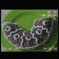 Cooksnap dari Lidya Putri untuk resep Brownies Kukus 4 telur Base kue ultah