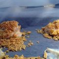 75butterflies's cooksnap of when they made Cream Cheese Puffs (LOW CARB).