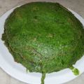 El cooksnap de jorge cuando hizo Panqueques de acelga.