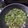  Dr.Madhumita Mishra's cooksnap of when they made Cucumber cooler.