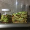 Cooksnap của Trịnh Tuyết Trâm khi họ làm theo món Xoài xanh ngâm mắm