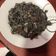 El cooksnap de Lets Alegria cuando hizo Arroz negro con calamares.