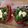 El cooksnap de Cook_and_Jud cuando hizo Pimientos rellenos con brócoli.