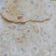 Smruti Shah's cooksnap of when they made ઘઉં બાજરી મેથી થેપલા (Wheat Bajri Methi Thepla Recipe In Gujarati).