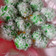 Cooksnap dari Heraa untuk resep Kelepon Tepung Ketan Isi Gula Merah