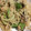 El cooksnap de RosyCocina cuando hizo Pasta de pollo.