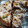 El cooksnap de Rosana Freddi cuando hizo Brownie sin tacc.