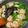 蘇菲家之味 的 芹菜小餛飩湯 cooksnap