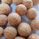Cooksnap dari Eka Mayarni untuk resep Onde-onde wijen isi kacang hijau