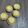 Rouhua Chen 的 玫瑰檸檬塔 #酸V好吃的檸檬餡 cooksnap