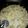 El cooksnap de FELIGENA cuando hizo Salsa de champiñones para pasta 🍝 🍄🧑🏽‍🍳.