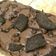 Cooksnap dari Made Synansari untuk resep Chewy Brownies