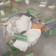 Cooksnap dari Dhianrosalina untuk resep Sop Ayam Ala Pak Min Klaten. Segar dan Enak, Wajib Dicoba
